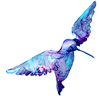 鳥